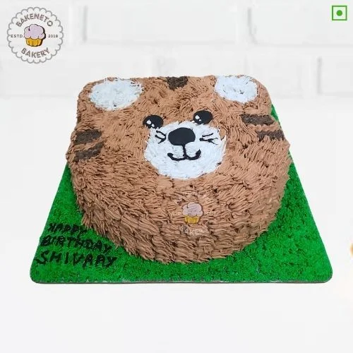 Cute Teddy Cake Noida