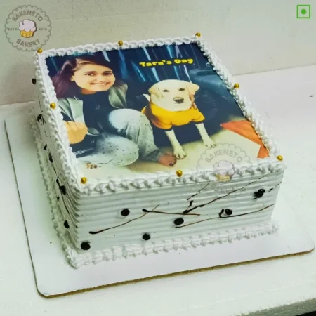 Book Dog Lover Cake for kid's birthday in 30 minutes in Noida. Order cake online and get super fast cake delivery nearby in Noida, Ghaziabad, Noida Extension. Get customized theme cakes in 2 hours in Noida.